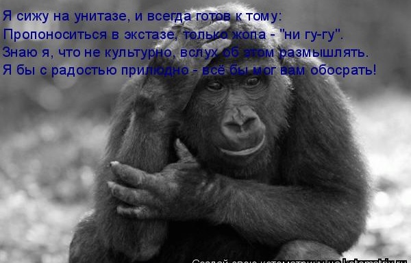 Запор у обезьяны