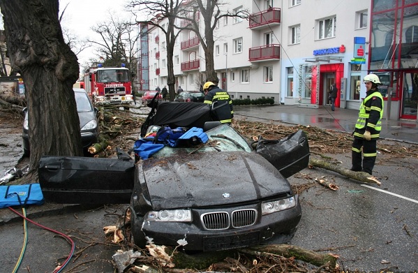 После урагана в Москве