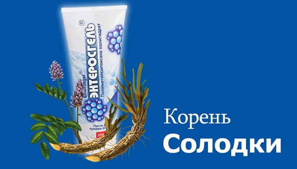 Как пить корень солодки