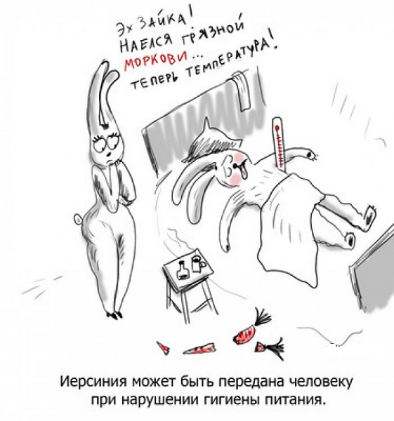Иерсиниоз симптомы