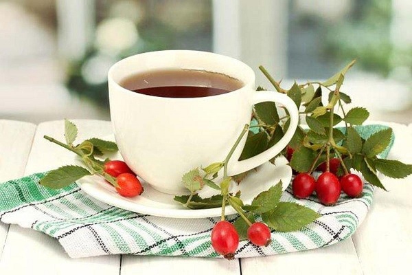Отвар из свежих плодов шиповника