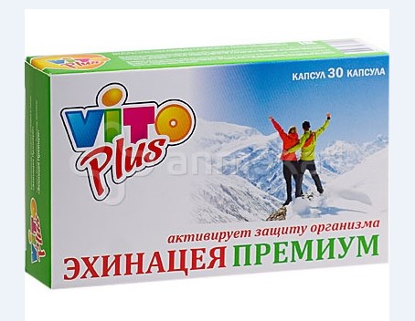 Эхинацея Премиум