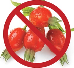 Противопоказания для шиповника