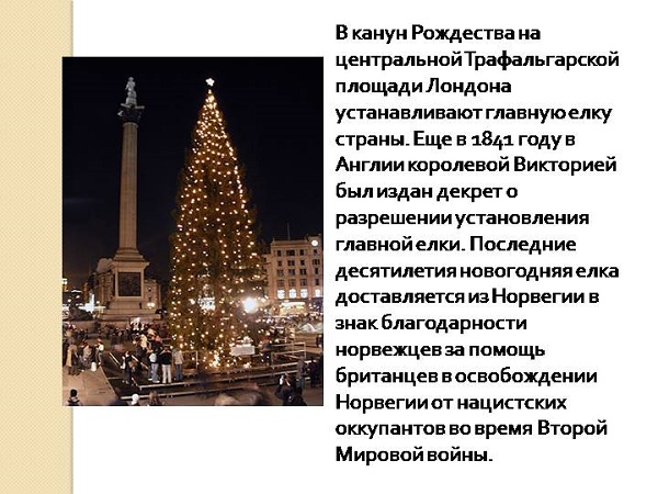 Норвежская ель на Трафальгарской площади в Лондоне