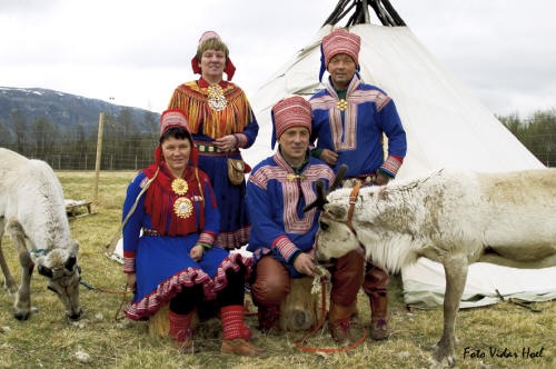 Новые шведские саами