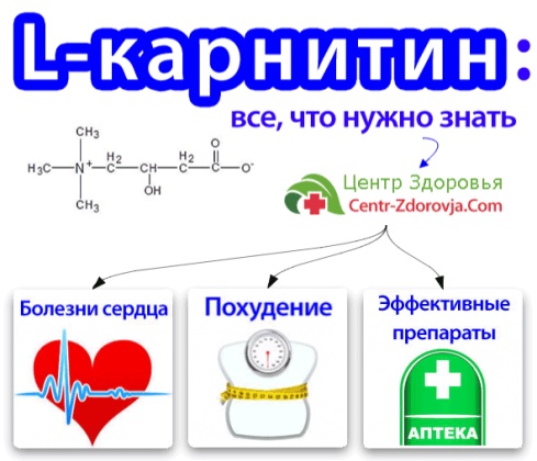 Л-карнитин и его свойства