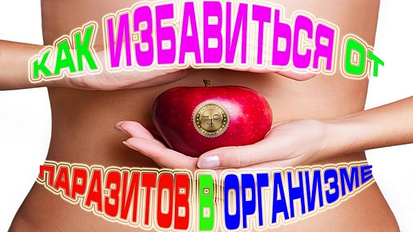 очищение от паразитов