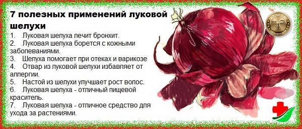 области применения луковой шелухи