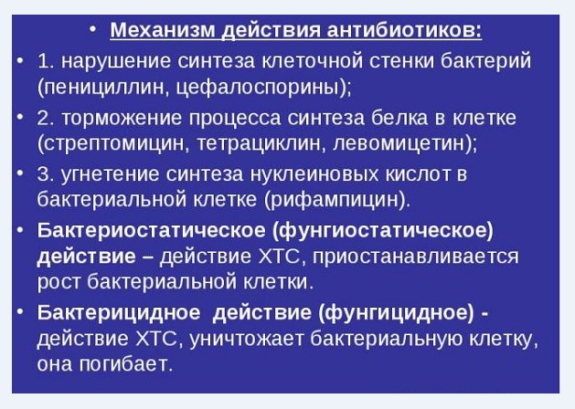 механизм синтеза белка