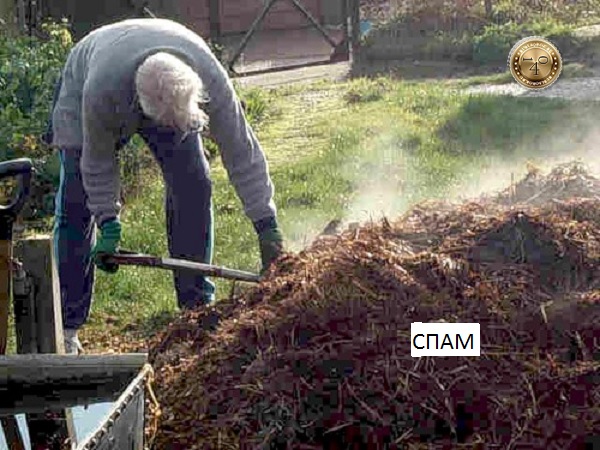 искатель