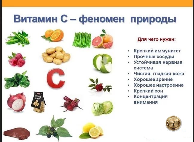 витамин C феномен природы
