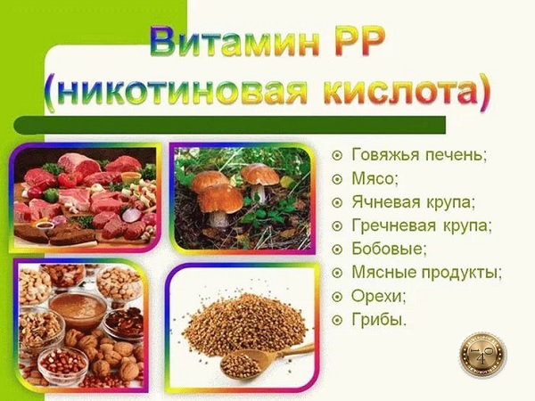 витамин PP никотиновая кислота