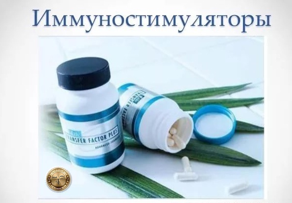 иммуностимуляторы