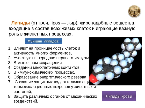 липиды в организме человека