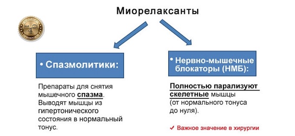 препараты миорелаксанты