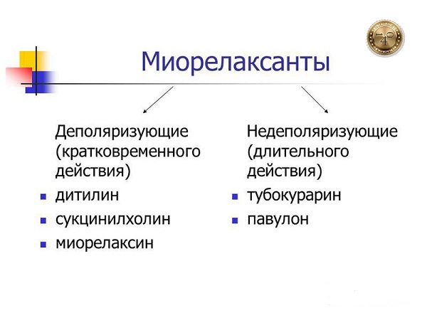 два вида миорелаксантов