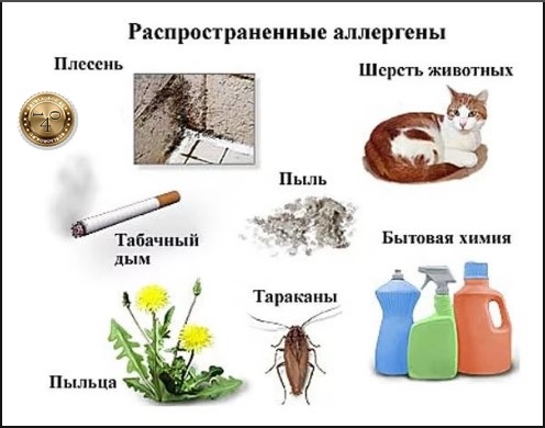 аллергены