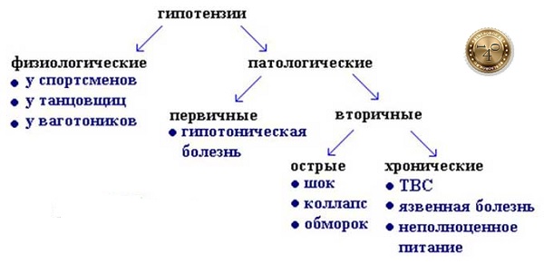 что такое гипотензия