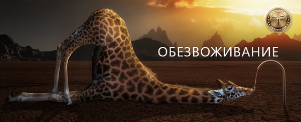 обезвоживание организма