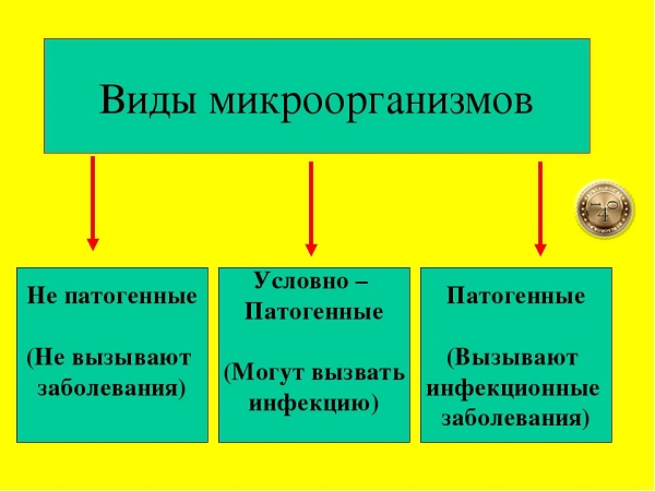 патогенные микробы