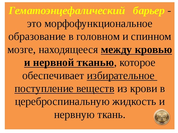 гематоэнцифалический барьер