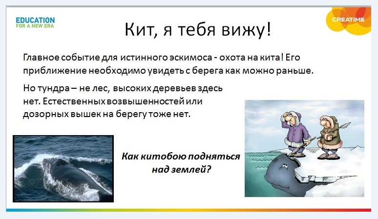кит, я тебя вижу