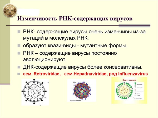 изменчивость вируса