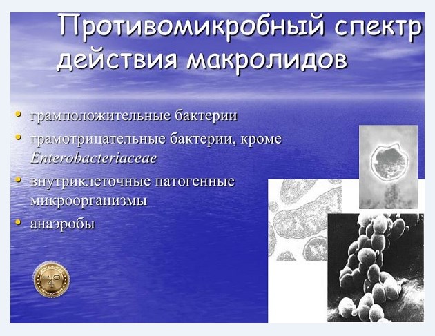 анаэробы