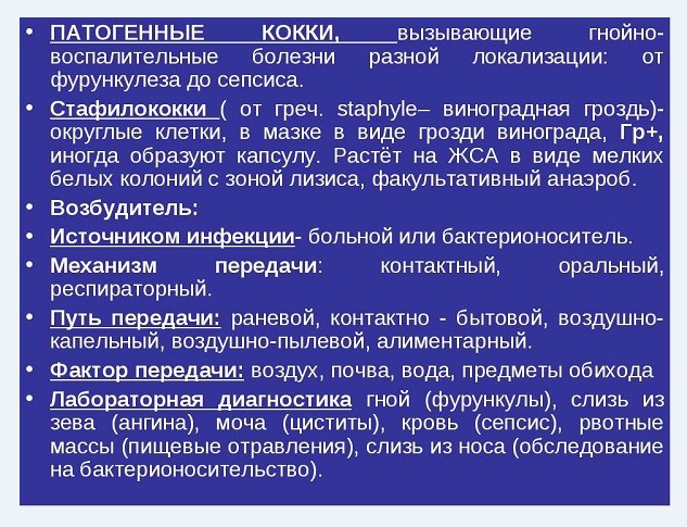 патогенные кокки