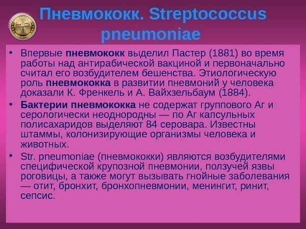 пневмококки