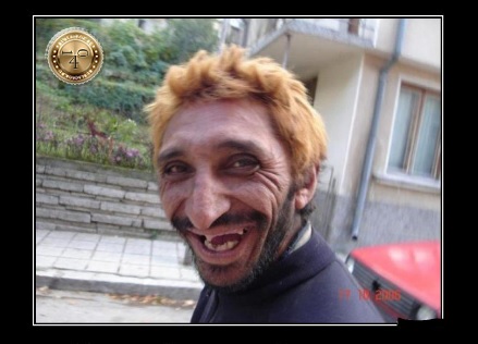 рыжый пес