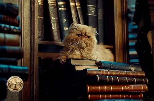 Живоглот на книгах