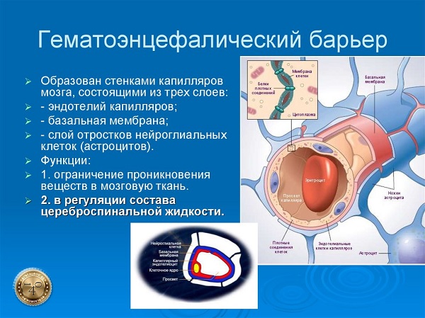 гематоэнцефалический барьер