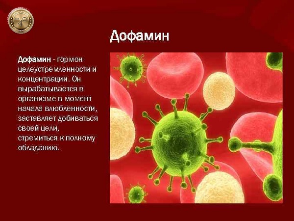 гормон дофамин