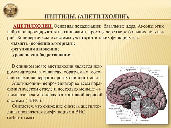 ацетинхолин