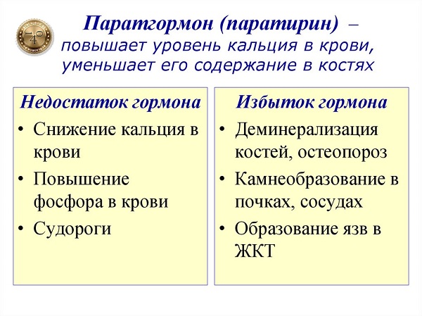 паратгормон и кальций