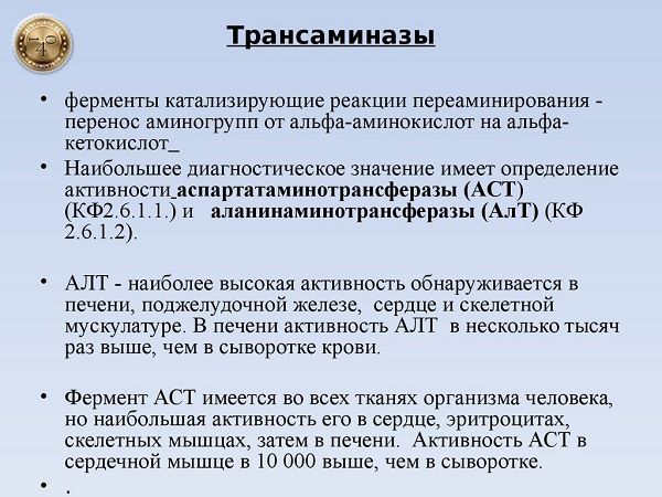 трансминазы печени