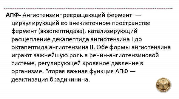 фермент