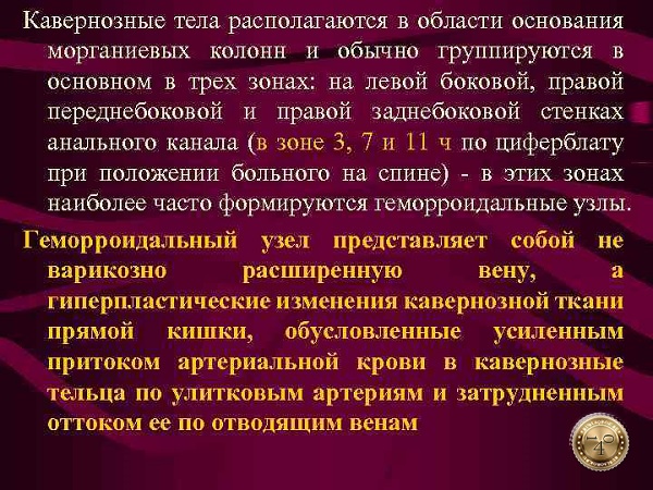 кавернозные тельца