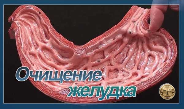 полное очищение желудка