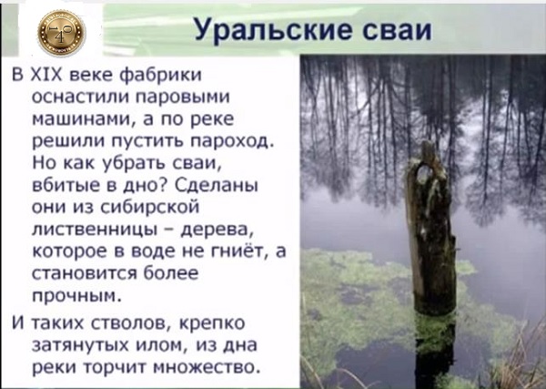 остатки свай