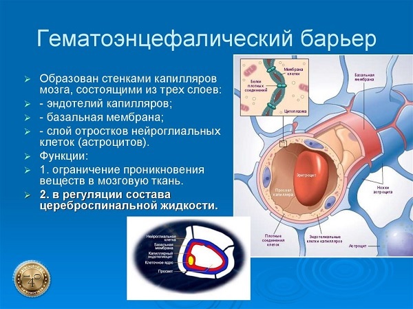 гематоэнцифалический барьер