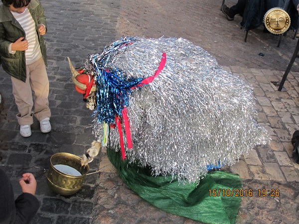 Миска