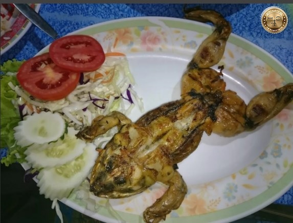 Жареная лягушка