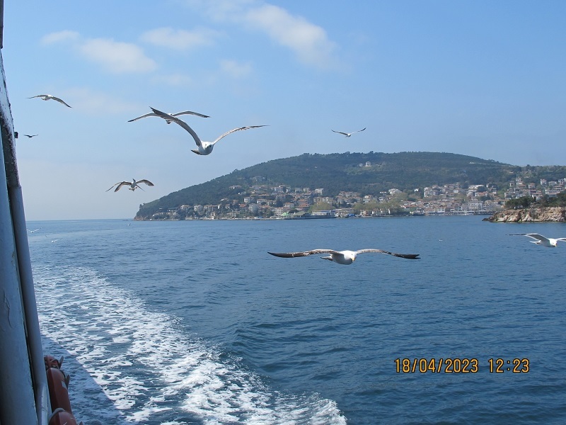 На морском просторе